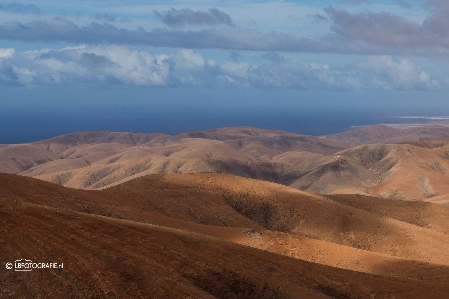 fuerteventura